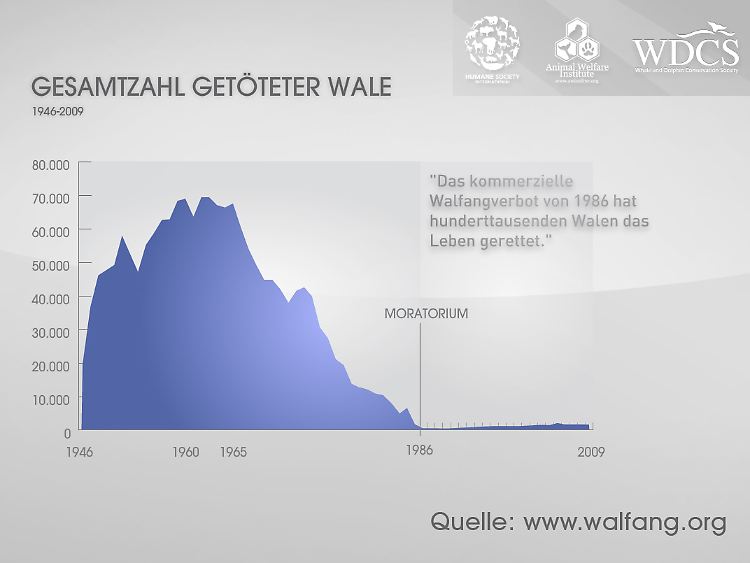 Die Statistik zeigt die Gesamtzahl der getöteten Wale seit 1946 - und die Wirksamkeit des Moratoriums.