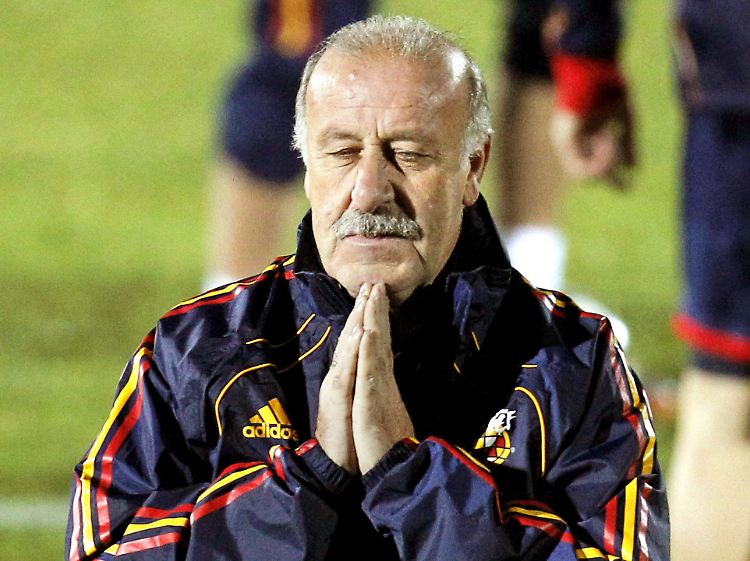 Durchaus kritisch: Spaniens Trainer Vicente del Bosque.