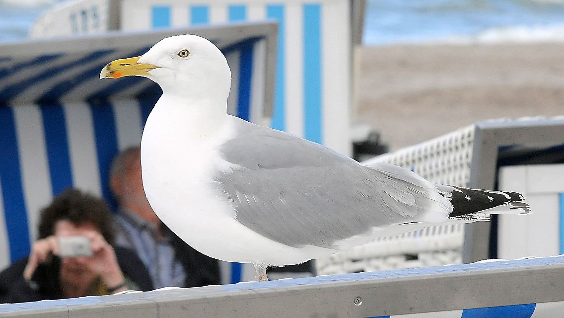 Auch daheim gibt es lohnende Fotomotive.