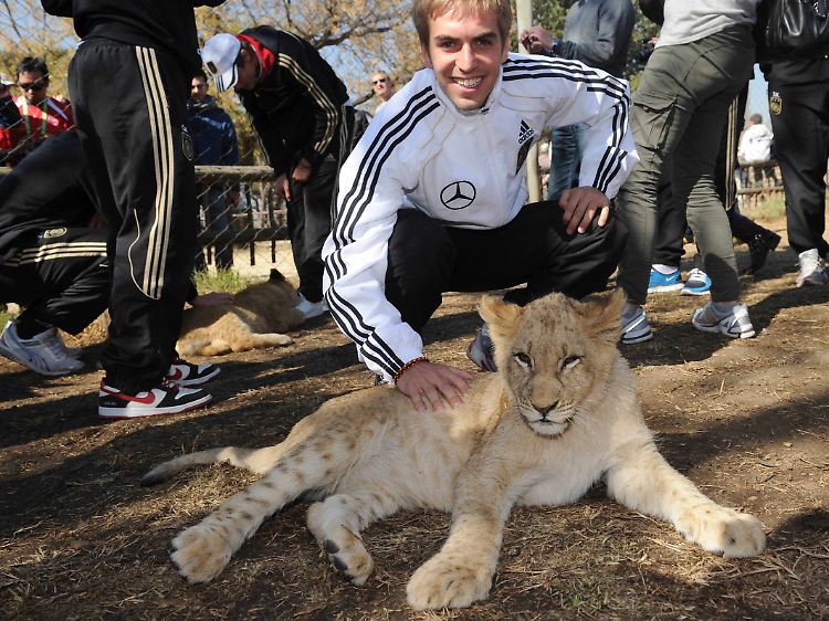 Die "Three Lions" wollen gezähmt werden: Kapitän Lahm übt am lebenden Objekt.