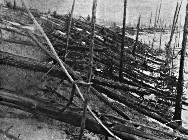 Umgeknickte Bäume in Sibirien. Das dort 1908 eingeschlagene Geschoss war achtmal kleiner als 2005 YU55.