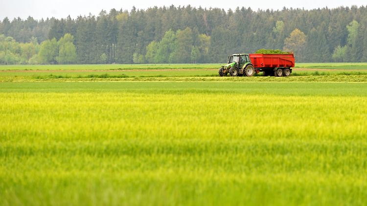 Um Trecker fahren zu dürfen, muss man nicht volljährig sein: Den Führerschein dürfen Jugendliche schon mit 16 Jahren machen.