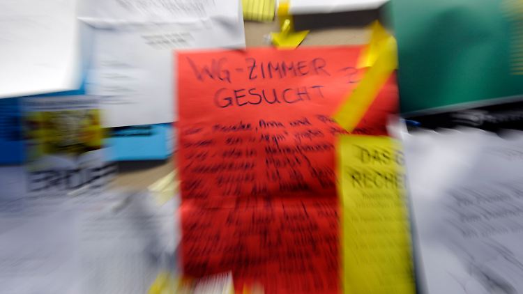 Auf dem studentischen Wohnungsmarkt herrscht vielerorts die nackte Verzweiflung.