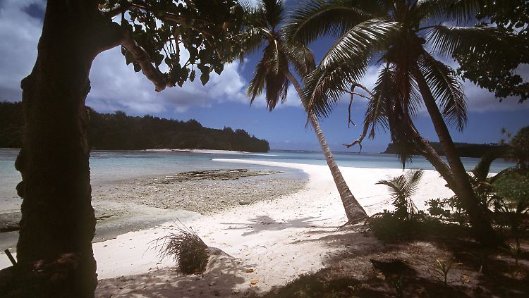 "Sandy Island" gibt es nicht - das Phantom geht auf einen historischen Irrtum zurück.
