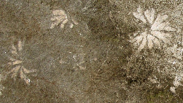 Das undatierte Foto zeigt Spuren eines 100 Millionen Jahre alten Wattwurms auf den Steinstufen zur Befreiungshalle im niederbayerischen Kelheim.