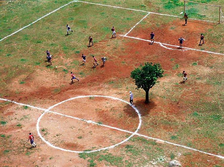 Ein Baum mitten auf dem Spielfeld: Das kann schon einmal vorkommen.