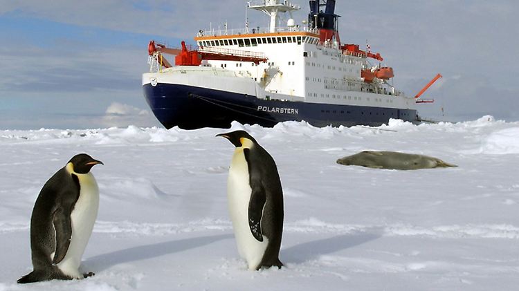 Der Forschungseisbrecher "Polarstern" des Alfred-Wegener-Instituts liegt im ewigen Eis der sommerlichen Antarktis.