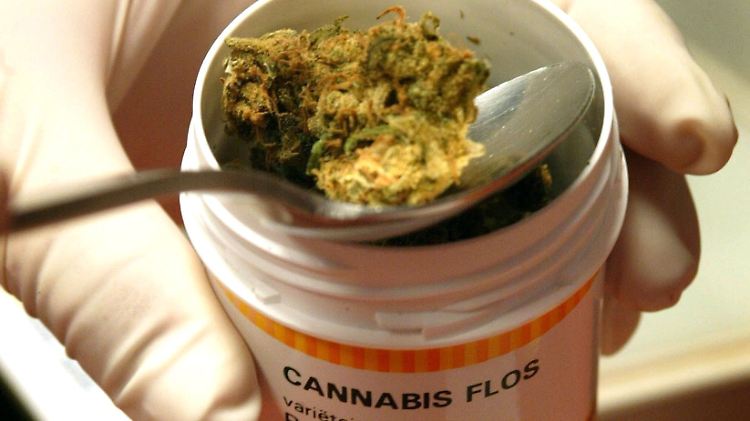 Viele Studien weisen darauf hin, dass Cannabis arzneiliches Potenzial in der Schmerztherapie, bei Depressionen und bei vielen Autoimmunerkrankungen, wie beispielsweise Multipler Sklerose, Morbus Crohn hat. 