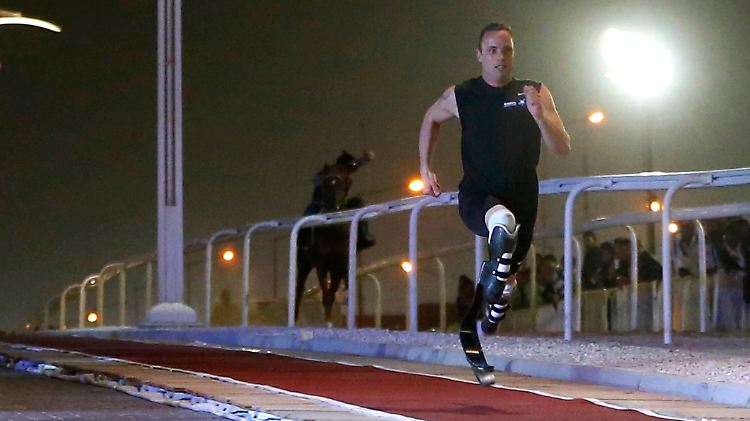 Da staunt das Pferd in Doha.