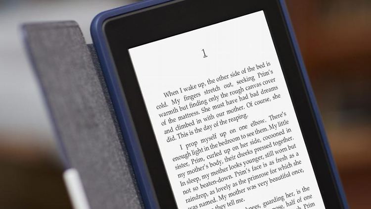 Der Kindle Paperwhite holt zwar den Testsieg, ist aber für Leser, die unabhägig von Amazon bestellen möchten, nicht die erste Wahl.