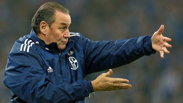 Die Schalker entlassen Huub Stevens mit einem vernichtenden Liga-Arbeitszeugnis aus seiner zweiten Amtszeit.