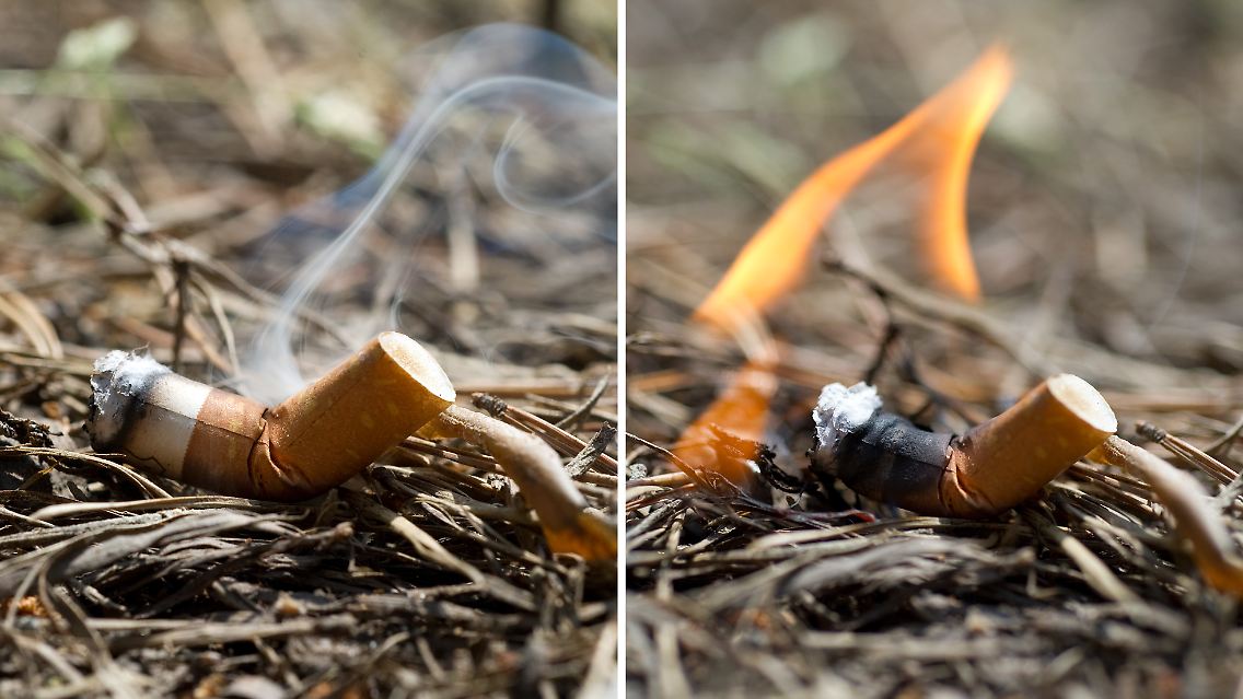 waldbrandgefahr.jpg