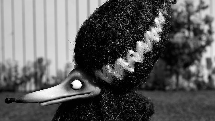Natürlich darf auch Sex in "Frankenweenie" nicht zu kurz kommen - in Form einer heißen Hunde-Dame.