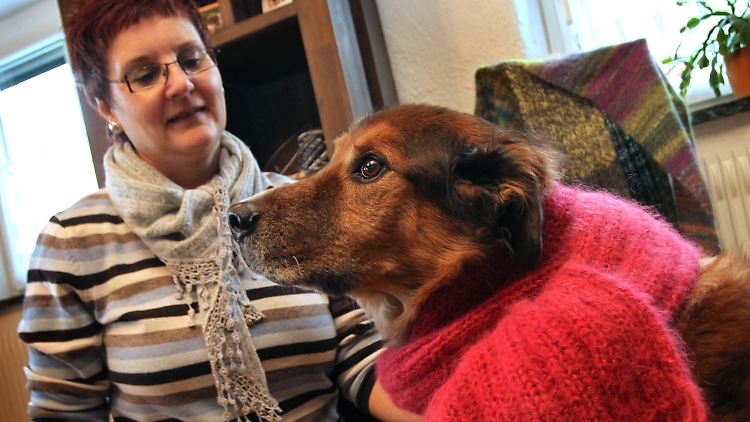 Gabi Angele hat ihrem Hund einen Schal aus Hundewolle angelegt.