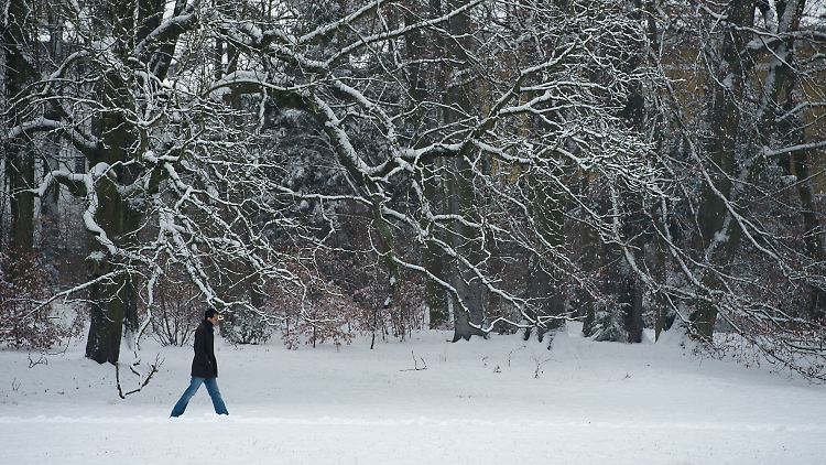 In Regensburg liegt Schnee - noch.