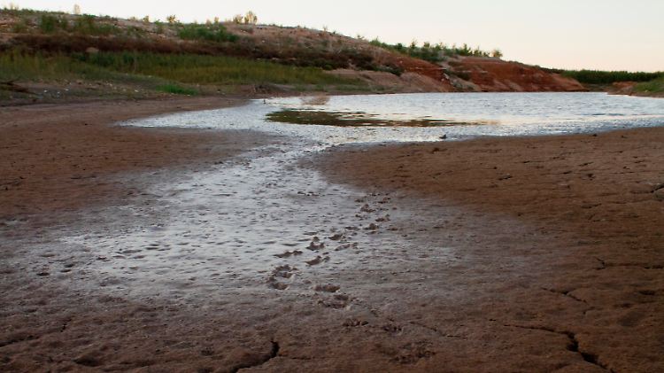 Immer mehr Flüsse trocknen aus:  E.V. Spence Reservoir in Robert Lee, Texas.