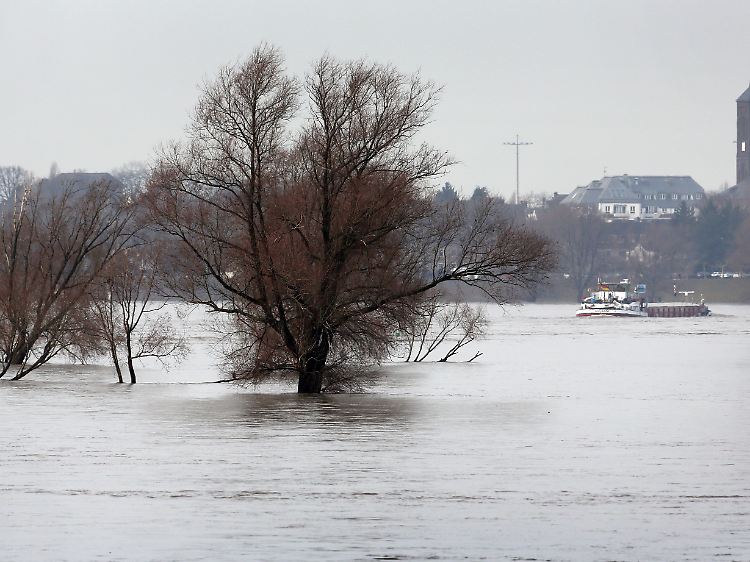 Der Rhein schwillt bereits an.