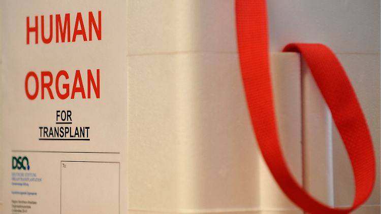 Eine Kühlbox für Organtransporte.