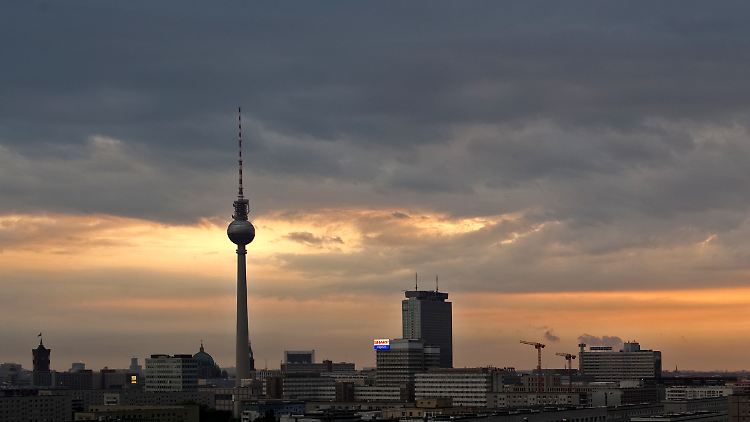 24564803.jpg