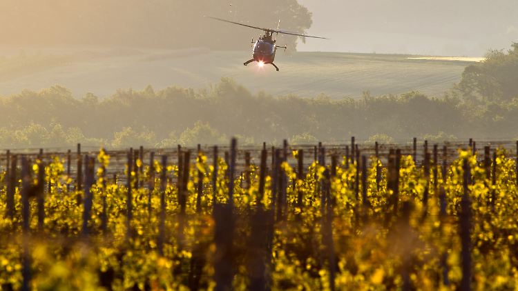 Bislang werden Weinberge oft von herkömmlichen Hubschraubern aus gespritzt.