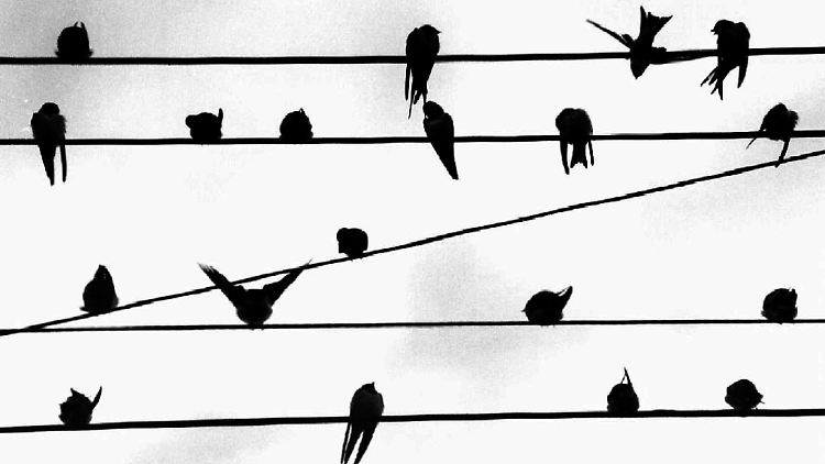 Nicht zusammen, sondern allein: Die Telekomriesen knüpfen ihre Netze nicht zusammen. 