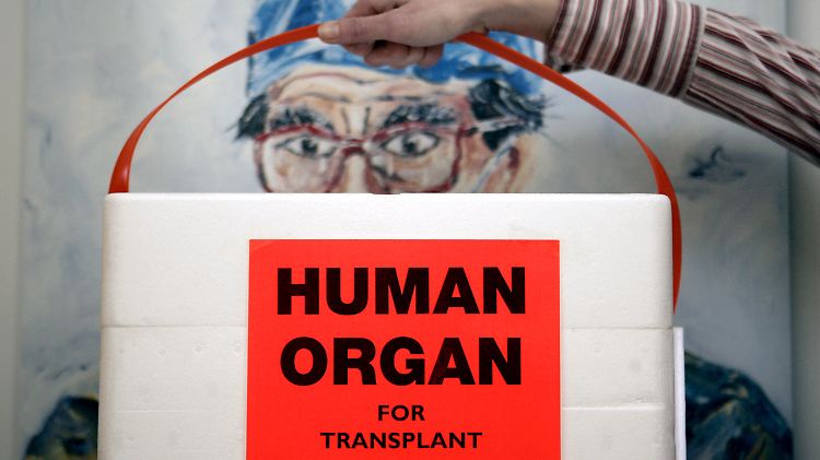 Die Skepsis bei den Deutschen ist groß: Sollen sie sich zur Organspende bereit erklären?