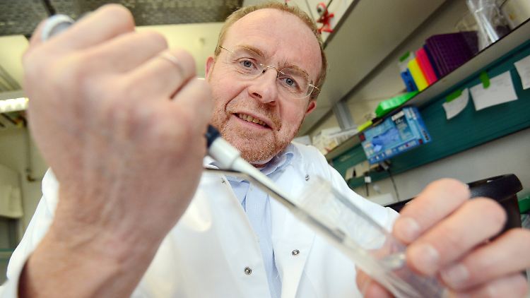Thomas Böhm, Direktor und Wissenschaftliches Mitglied am Max-Planck-Institut für Immunbiologie und Epigenetik: Der Körpergeruch spiele bei der Partnerwahl eine entscheidende Rolle, so Böhm.