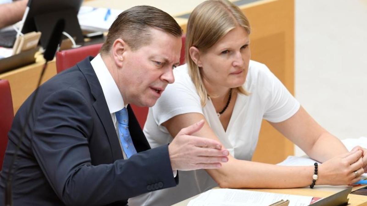 Bayern: Zwei von drei Anfragen im Landtag kommen von Grünen und AfD - n ...