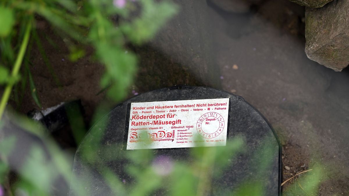 Berlin & Brandenburg: Nach Pandemie-Knick wieder mehr ...