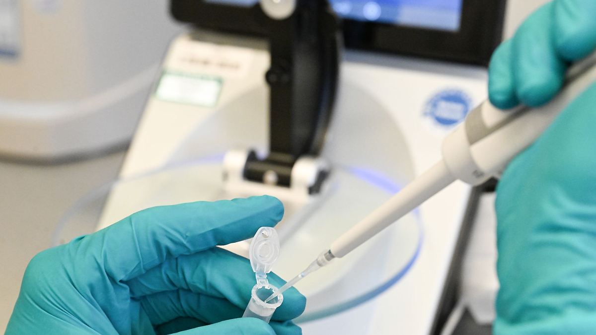 Ifo: Fast jeder dritten Firma fehlen Fachkräfte