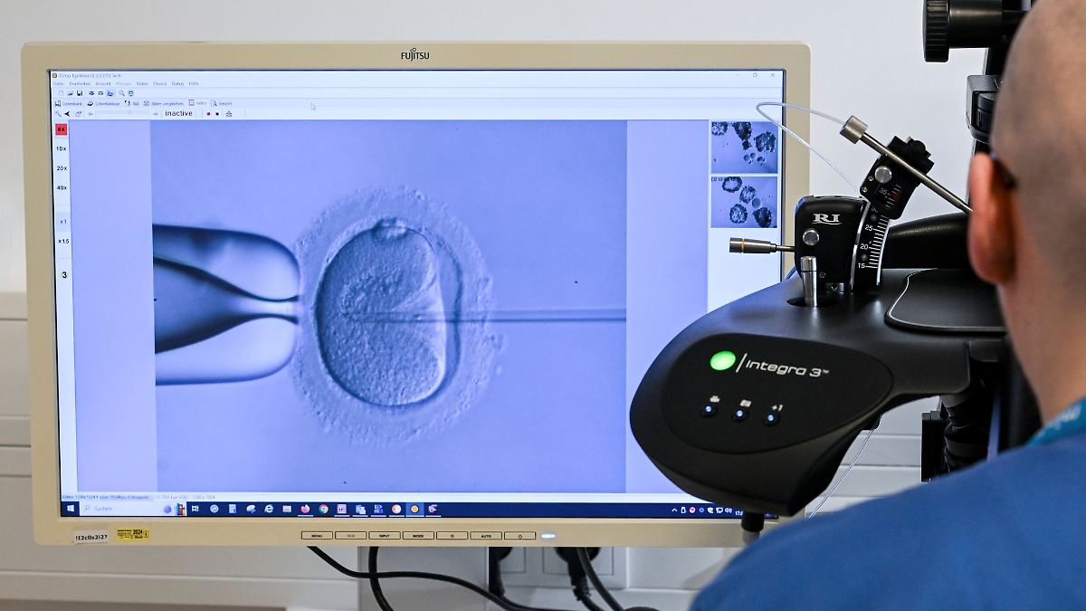 Förderung für Kinderwunschbehandlung etwas weniger gefragt