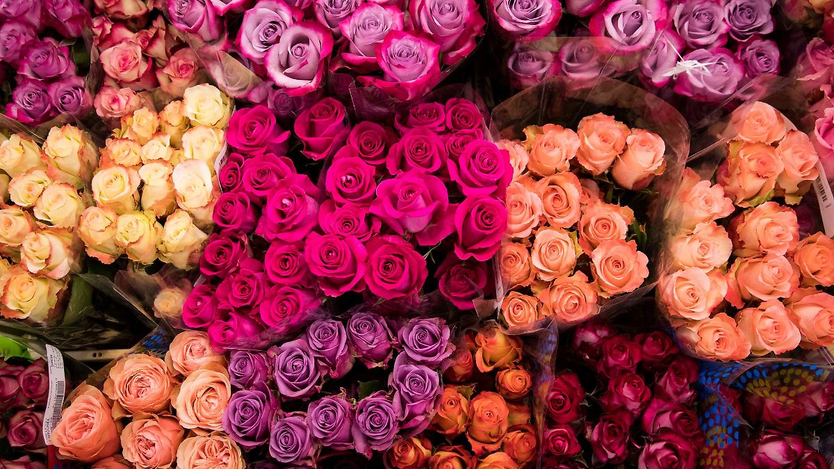 Im Nordosten 22 Millionen Euro mehr Umsatz am Valentinstag