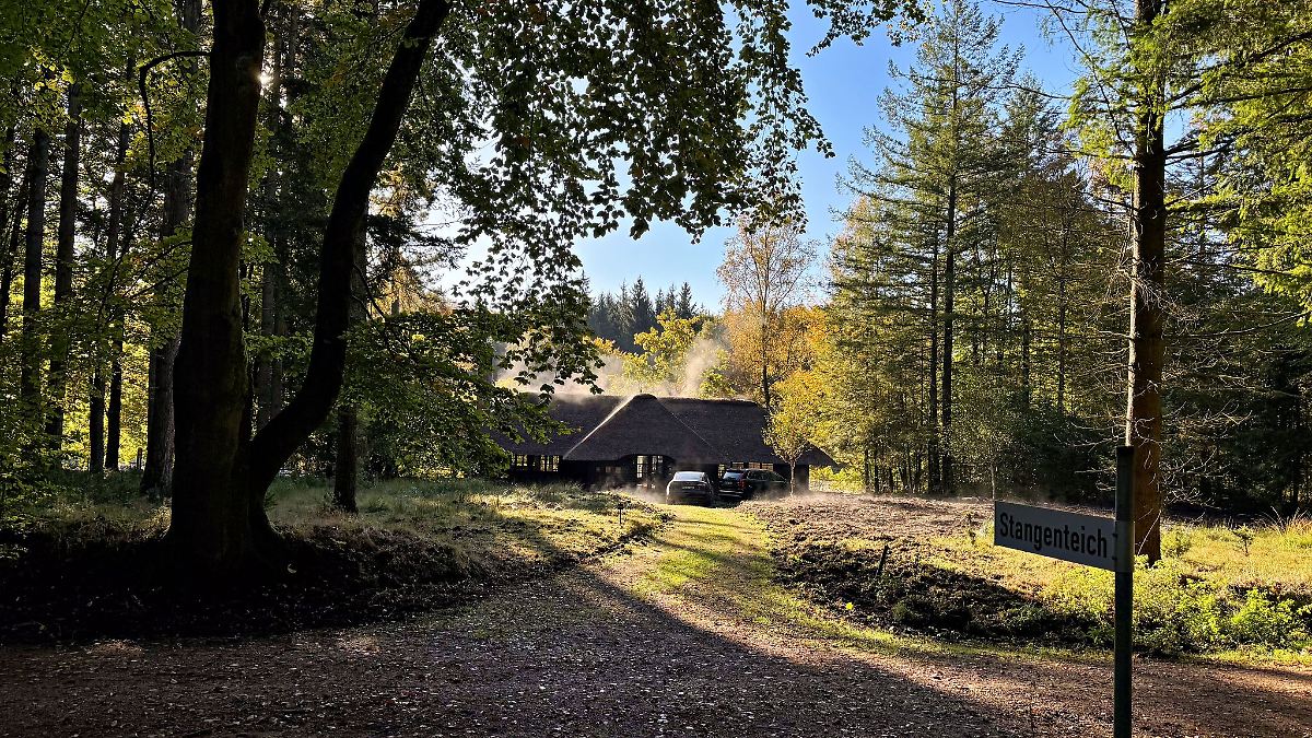 Irrtümlich Geld für Sachsenwald – Fehler in Geodatenbank