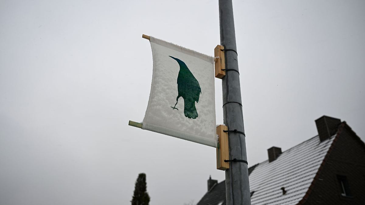 Pinguine statt Politiker: Dorf setzt auf Kunst vor der Wahl