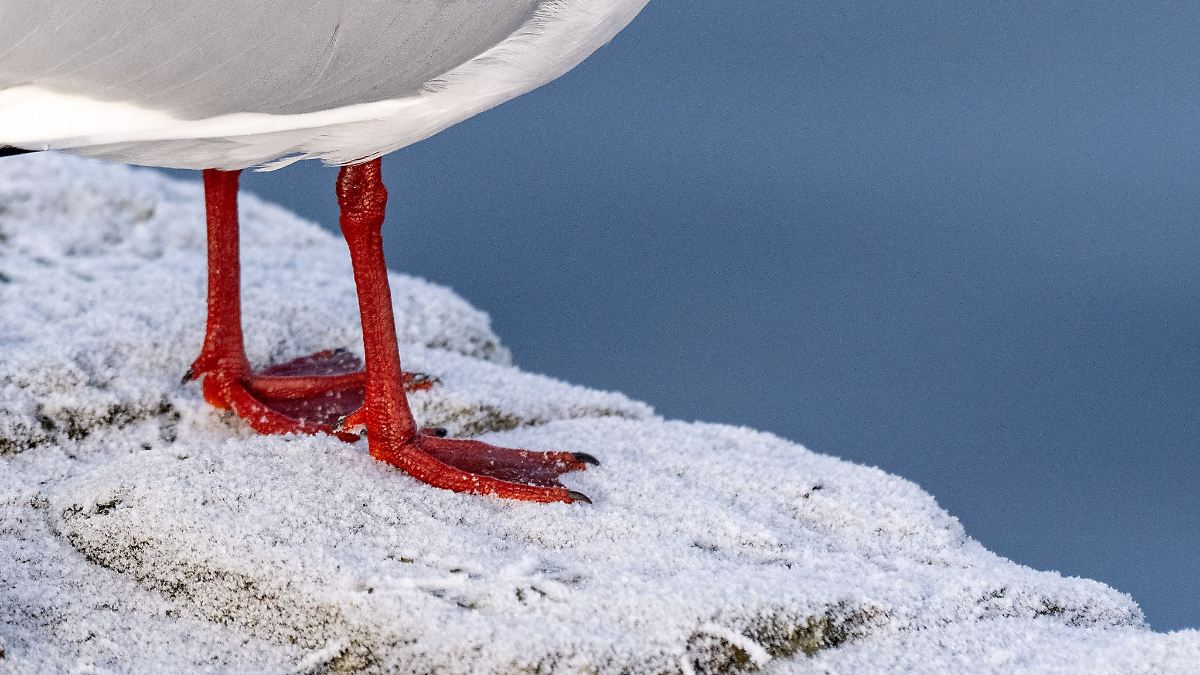 Frostiges Winterwetter in Mecklenburg-Vorpommern