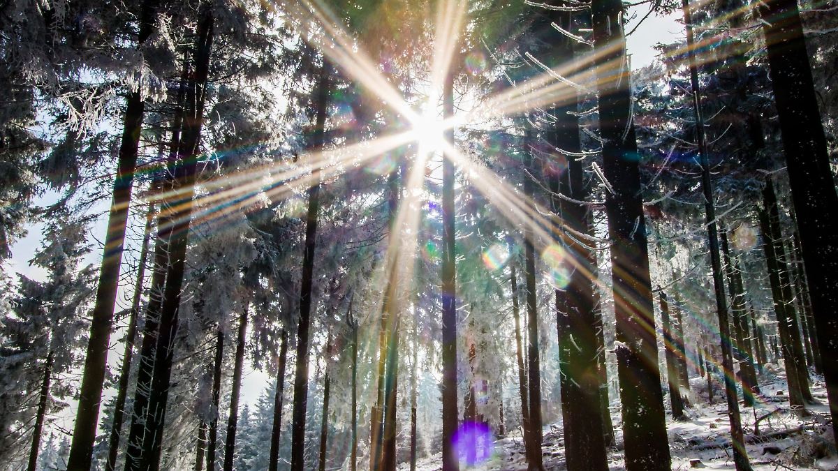 Sonne am Tag und Frost in der Nacht