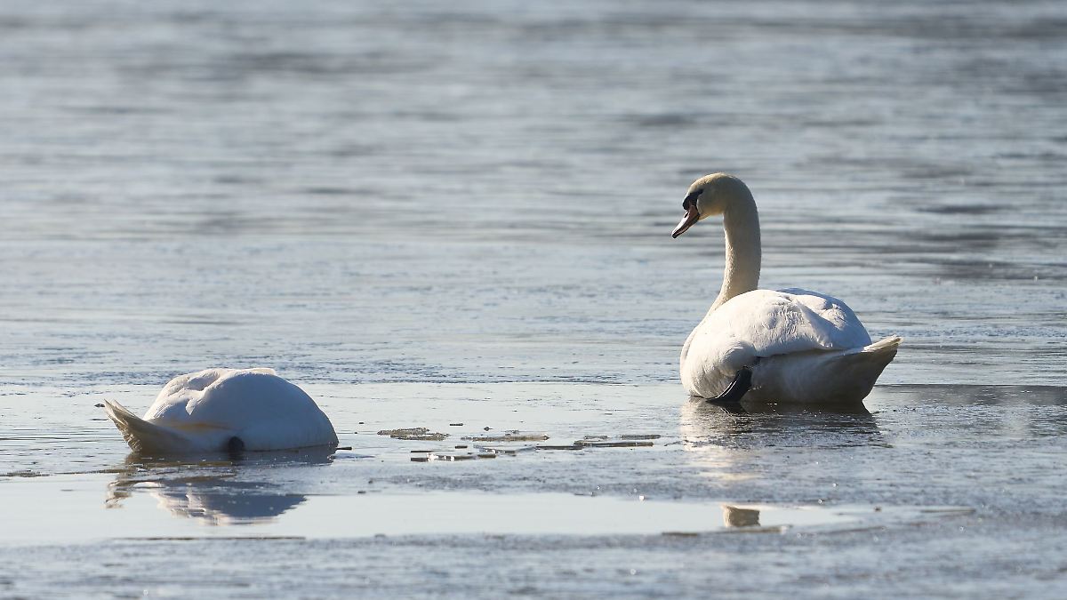 Ein erster Hauch von Frühling