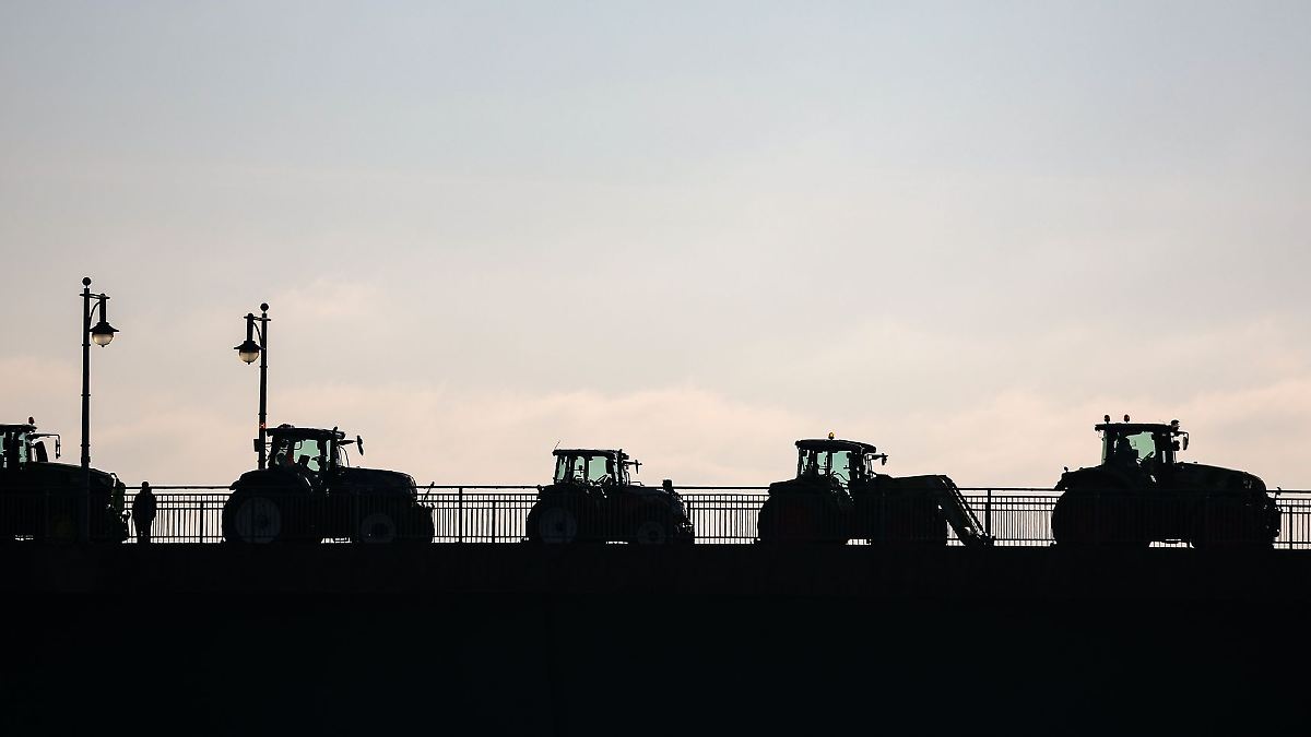 Landwirte machen vor Wahltag auf ihre Probleme aufmerksam