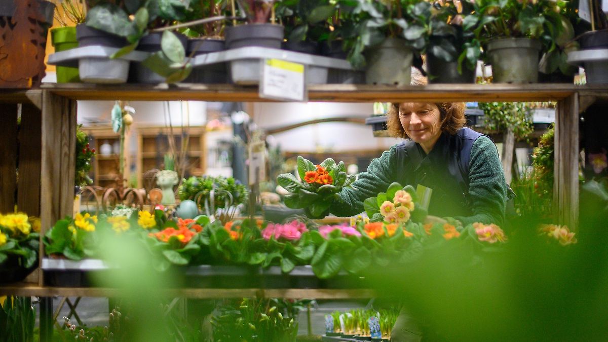 Hundert Aussteller bei "Gartenträume" Messe in Magdeburg