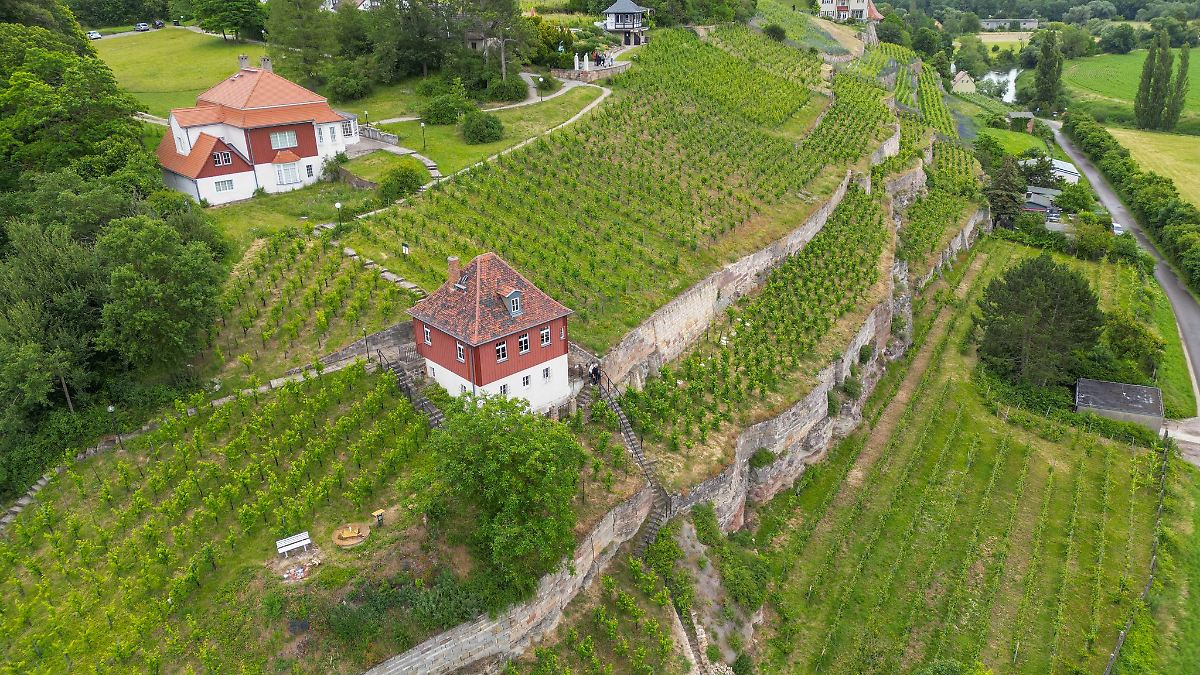 Winzervereinigung Freyburg-Unstrut verkauft mehr Wein