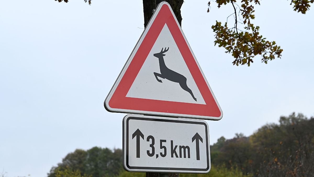 Autofahrer weicht Reh aus - junge Männer schwer verletzt