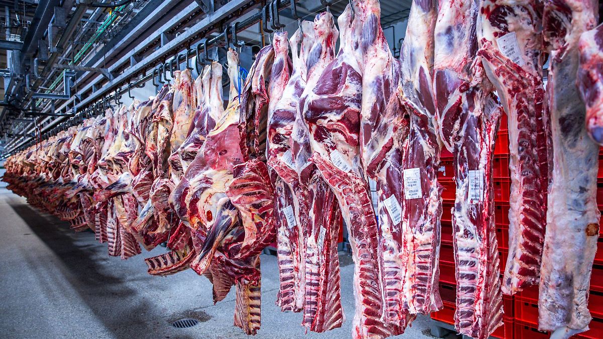 Mehr Schweine und Rinder geschlachtet