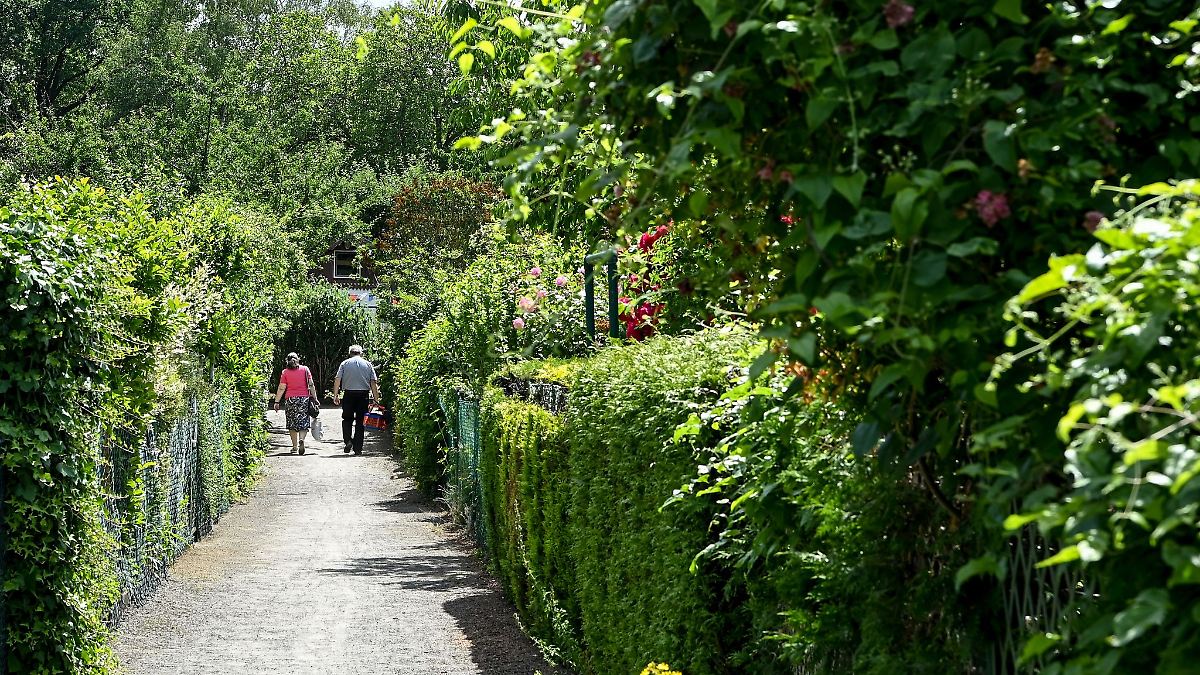 Kleingärtner sehen überteuerte Preise bei Pächterwechsel