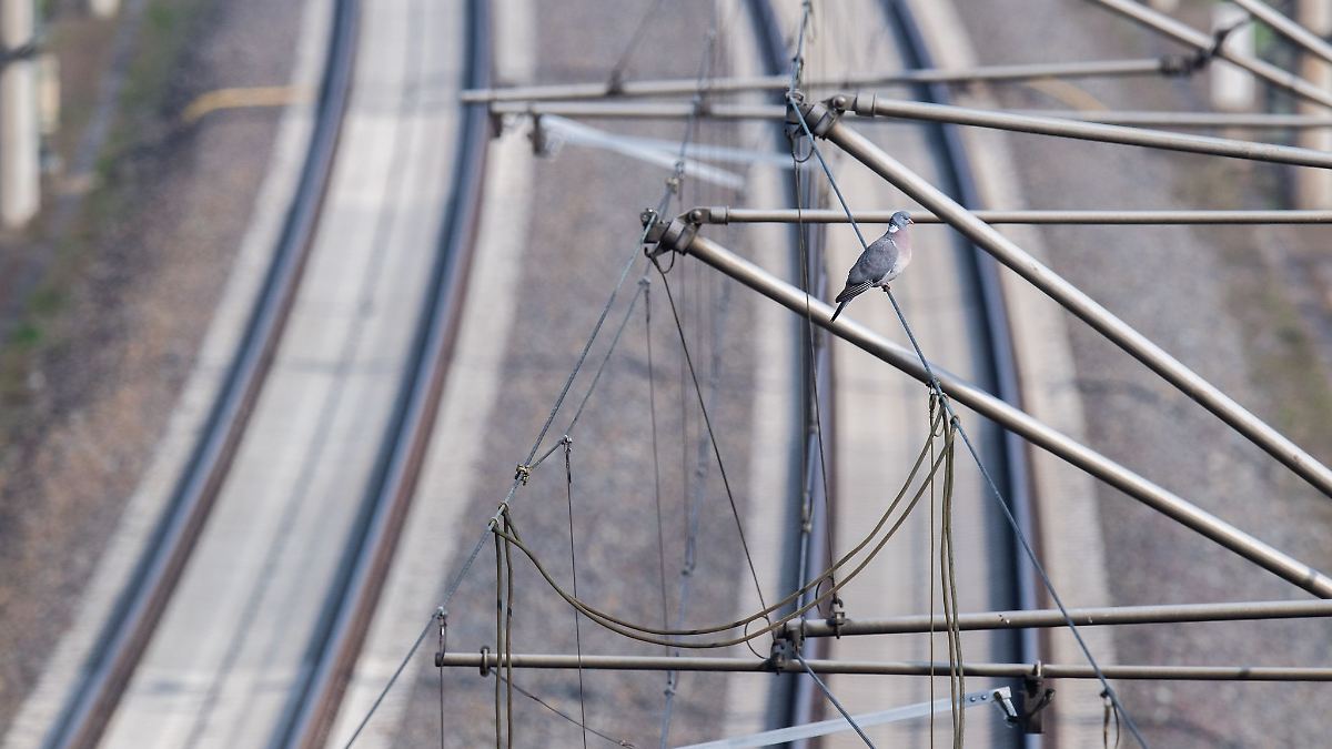 Auf Güterzug geklettert? - Stromschlag verletzt Mann