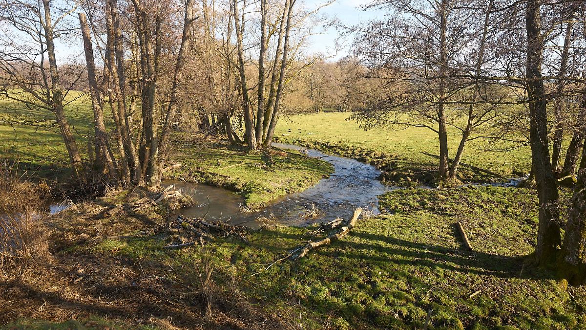 Frühlingswetter und viel Sonne