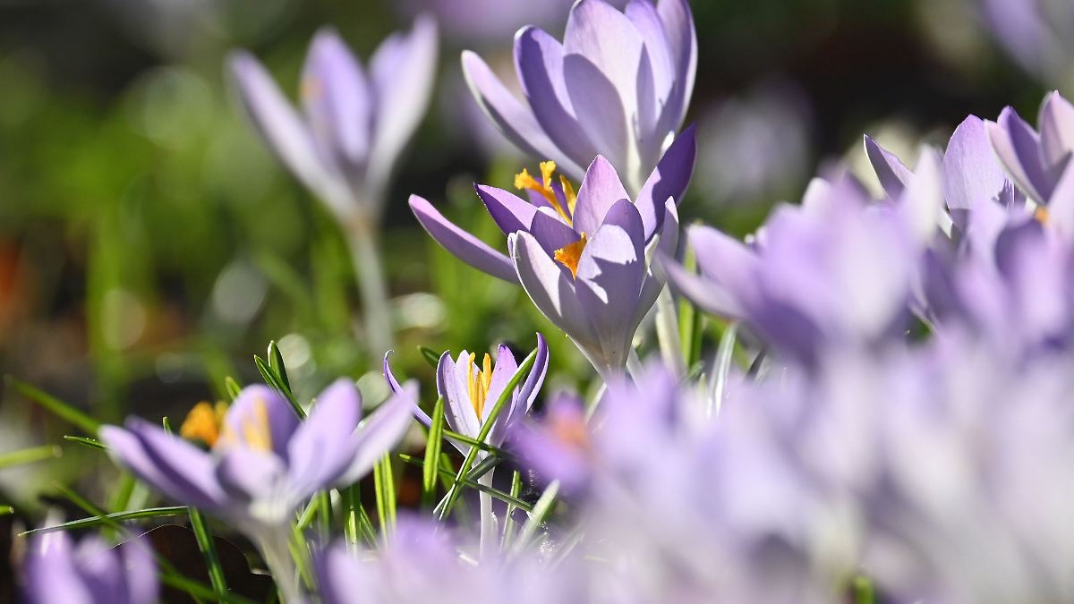 Milde Temperaturen und viel Sonnenschein in Bayern