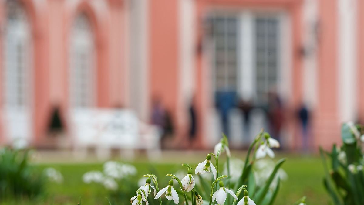 Frühlingswetter und höhere Temperaturen in Hessen
