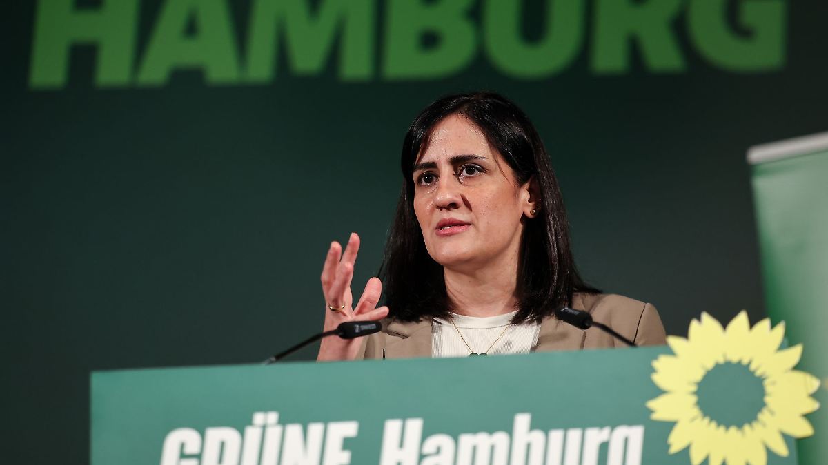Hamburgs Grüne: Bundestagsthemen haben Wahlkampf dominiert
