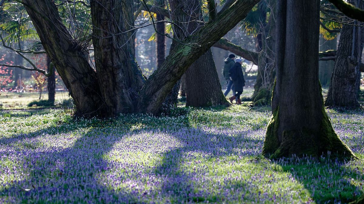 Sonnenschein und bis zu 20 Grad in Nordrhein-Westfalen