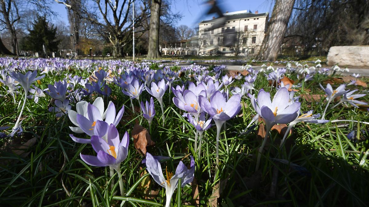 Mehr Sonne und milde Temperaturen in Baden-Württemberg